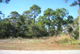 Here is a great Kelly Plantation Land Foreclosures - Click On Picture For Details